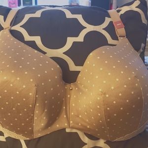Cacique Invisible Backsmoother Lightly Bra - NWOT